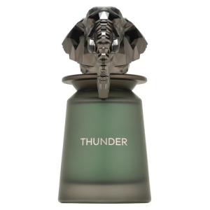 FRENCH AVENUE THUNDER EDP 100ML